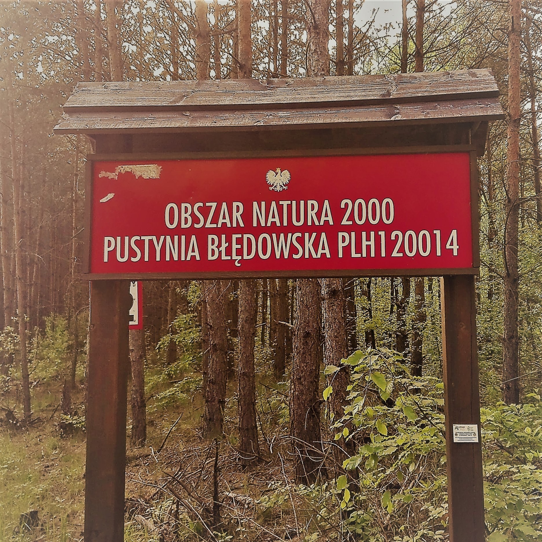 Natura 2000 Pustynia Błędowska