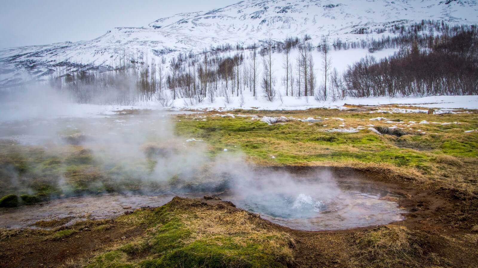 Islandia. Fot. Thomas