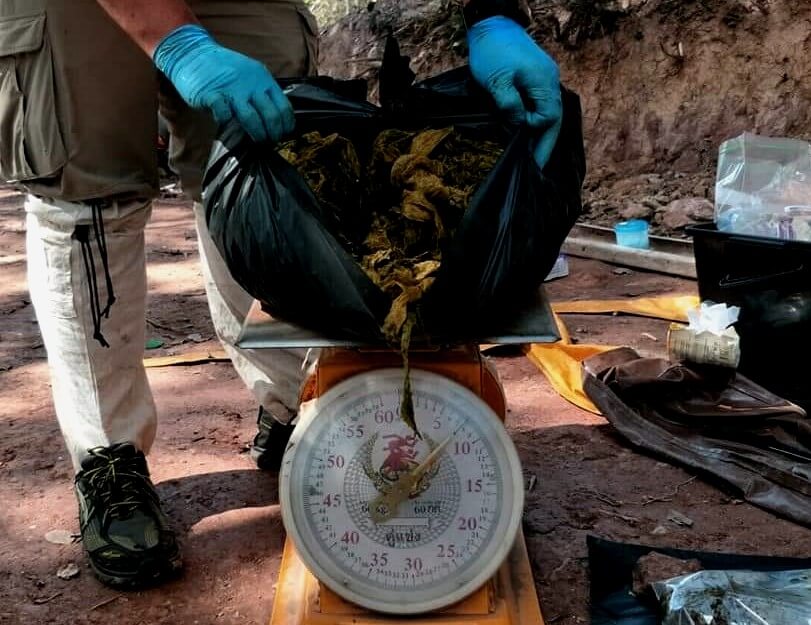7 kg śmieci miał w żołądku jeleń z parku narodowego w Tajlandii. Plastik