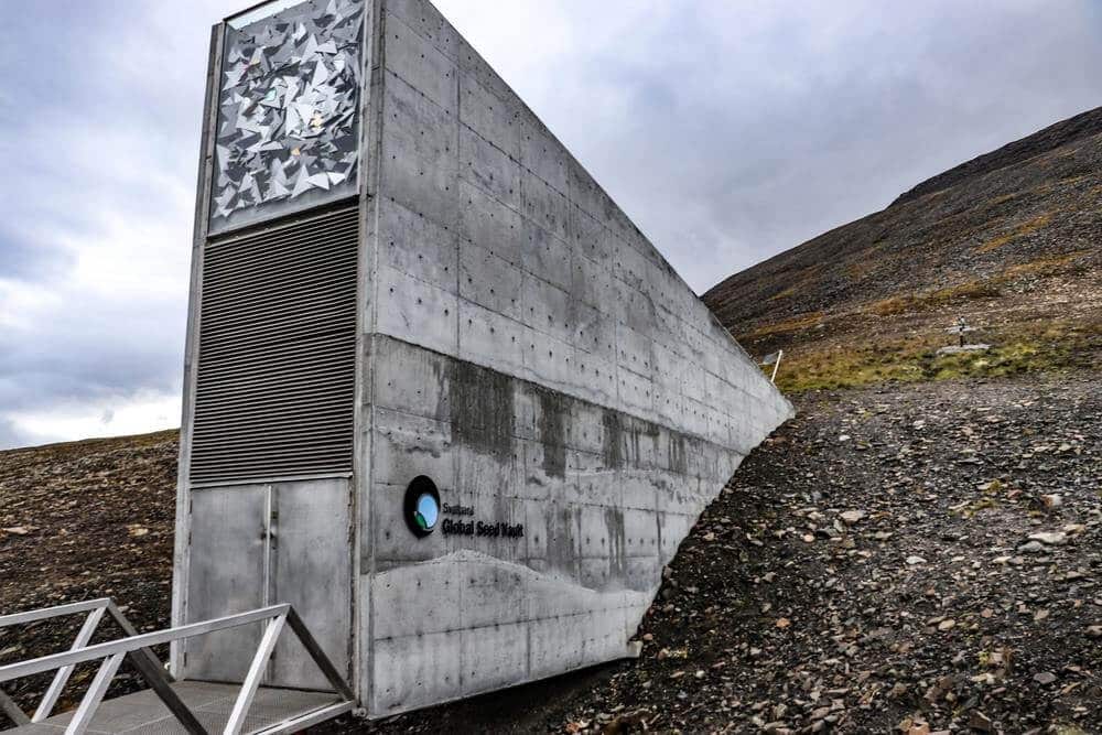 Bank nasion - Globalny arktyczny norweski bank nasion krypta zagłady - doomsday vault - Bank nasion miał nas chronić na wypadek zmiany klimatu. Teraz sam jest zagrożony