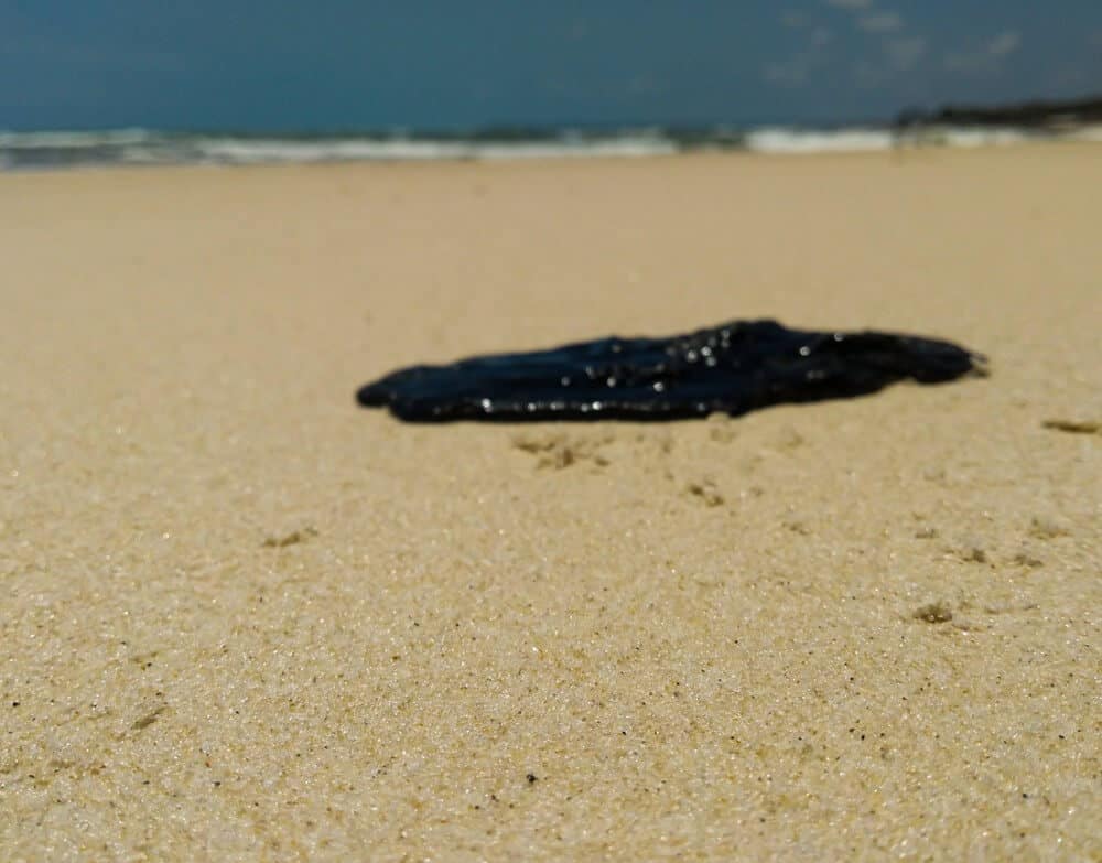 Brazylia Rząd nie radził sobie z ropą na plażach. Ludzie skrzyknęli się przez internet i sprzątają