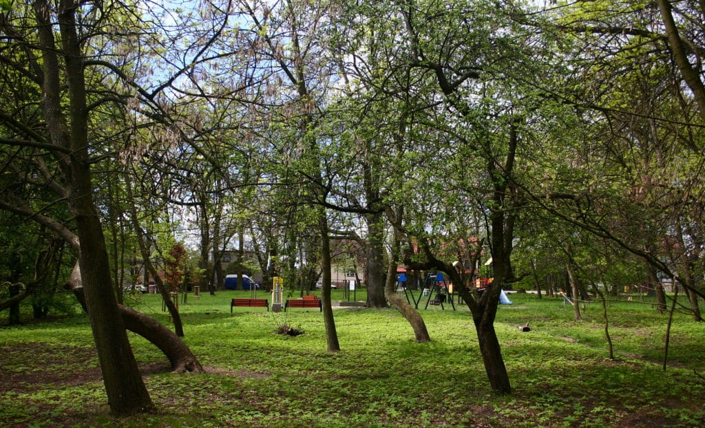 Plac zabaw i siłownia w Częstochowie przy ul. Zagłoby. Fot. Przykuta/Wikimedia Commons.
