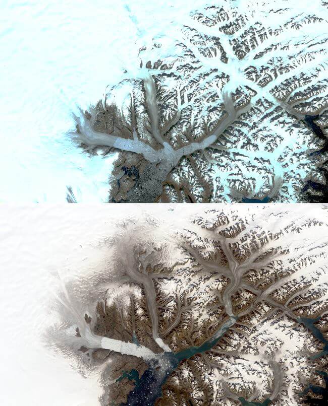 Lodowce Grenlandii znikają. NASA pokazało, jak zmieniły się w ostatnich 50 latach ZDJĘCIA 1 i 2