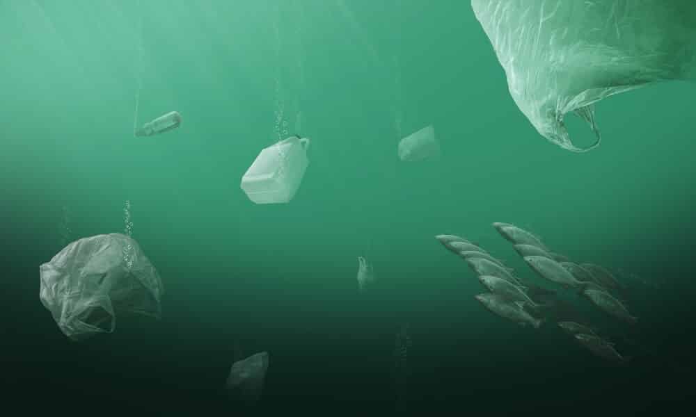 Mikroplastik w Bałtyku. Żyje na nim 50 razy więcej toksycznych mikroorganizmów niż w nieskażonej wodzie