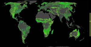 Miliard hektarów lasów by uratować świat mapa