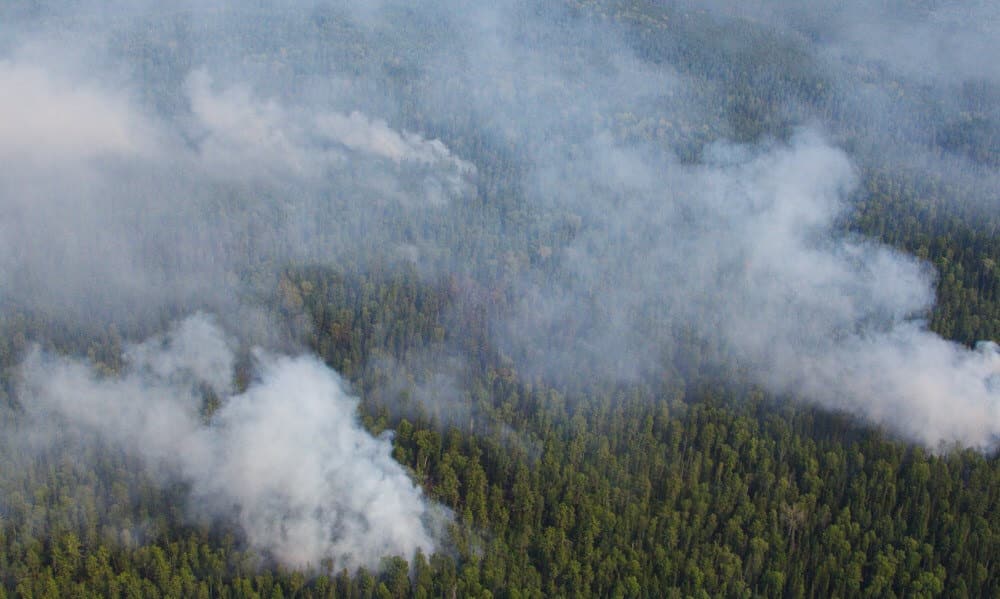 Młodzieżowy Strajk Klimatyczny przed ambasadą Rosji Ugaście tajgę