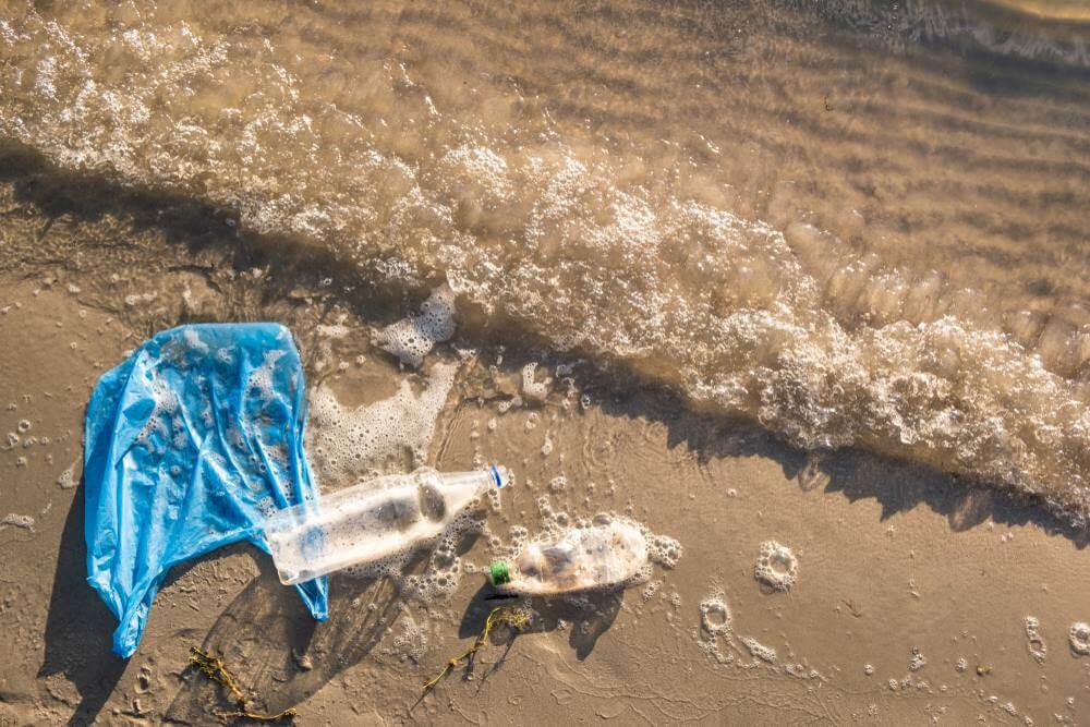 Nastolatek wygrał stypendium Google'a za pomysł jak usuwać mikroplastik z wody