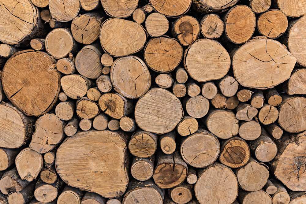 Naukowcy apelują o zrównoważone wykorzystanie biomasy leśnej w produkcji energii