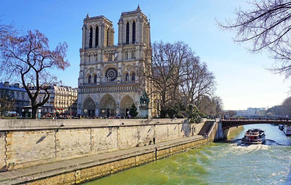 Odbudowa Notre-Dame We Francji nie ma już odpowiednio dużych dębów. Drewno przypłynie z Kanady