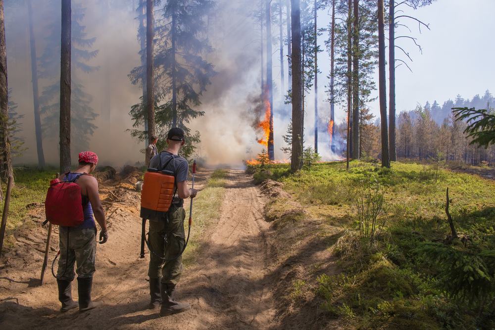 Pożary na Syberii. Rekordowy rok