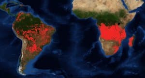 Południowa Afryka w ogniu. Nie tylko Amazonia i Arktyka płoną NASA pożar Afryka pożary Afryka