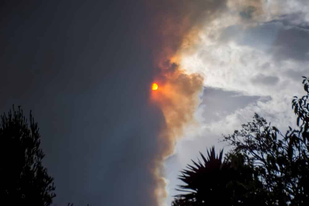 Premier nękanej pożarami Australii nie widzi odpowiedzialności kraju za zmiany klimatu. Protesty ma wyciszyć nowa ustawa