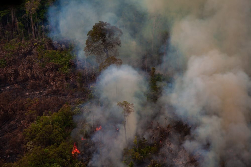 pożary Amazonia