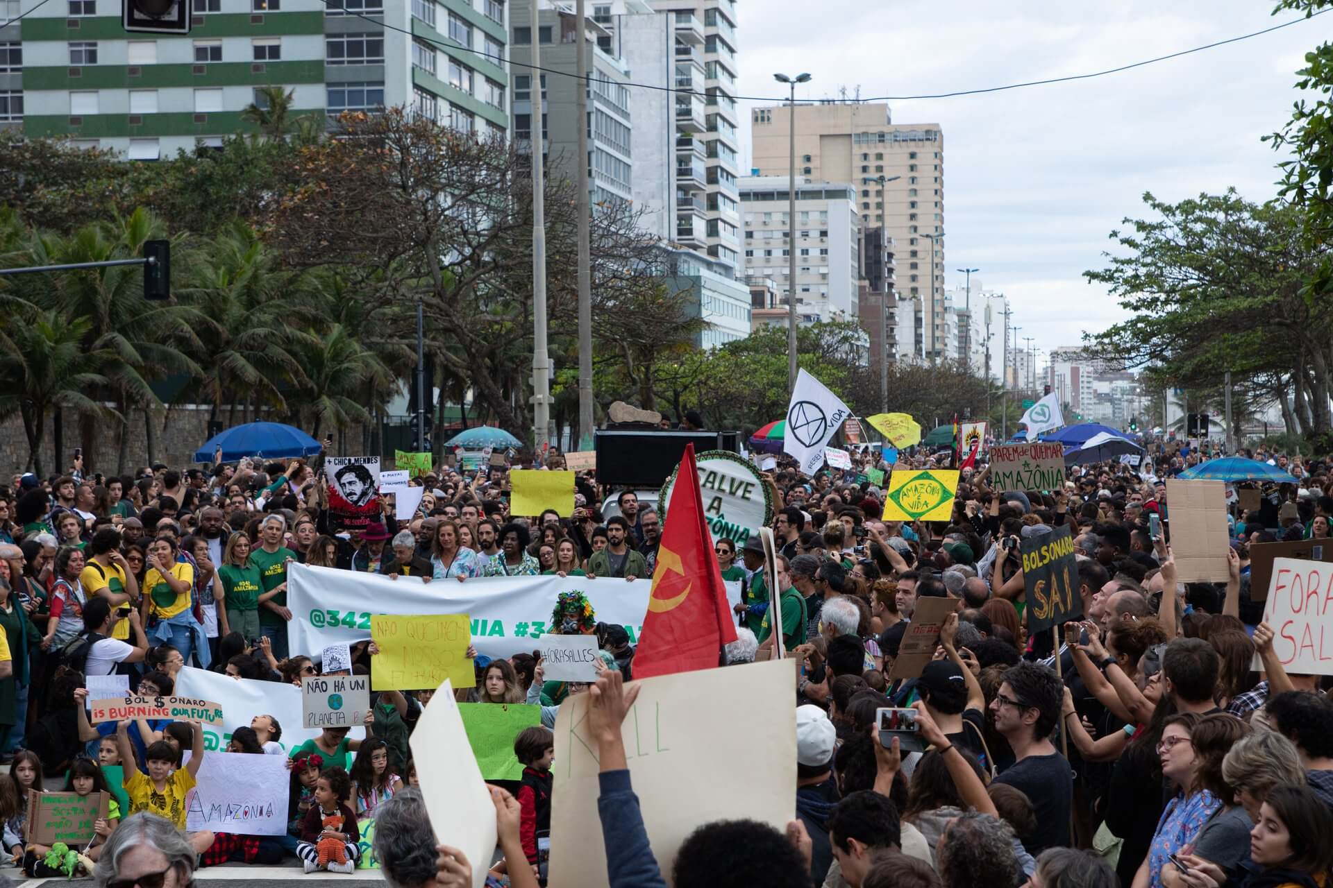 Amazonia Pożary Demonstracje