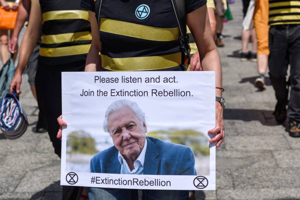 Brytyjski przyrodnik jest ważną postacią dla ruchów takich jak Extinction Rebellion. Fot. Ian Francis/Shutterstock.
