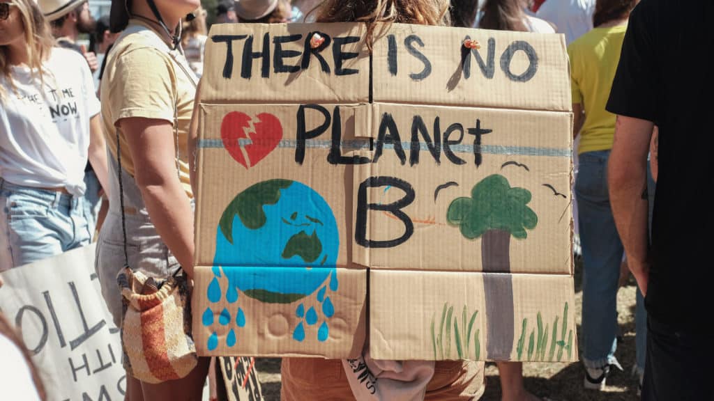 "Nie ma Planety B" to hasło, które Młodzieżowy Strajk Klimatyczny często wykorzystuje. Fot. SewCream / Shutterstock.com.
