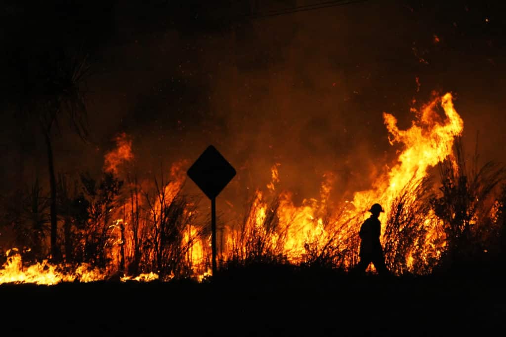 Czego ludzie boją się najbardziej? Od kilku lat na liście największych zagrożeń ludzkości dominuje kryzys klimatyczny i jego skutki. Na zdjęciu widać pożar lasu w Australii. Fot. VanderWolf Images/Shutterstock.