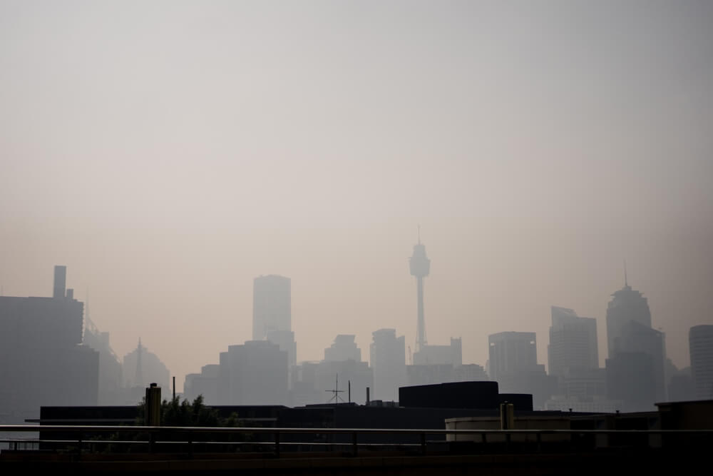 pożary sydney niebo dym