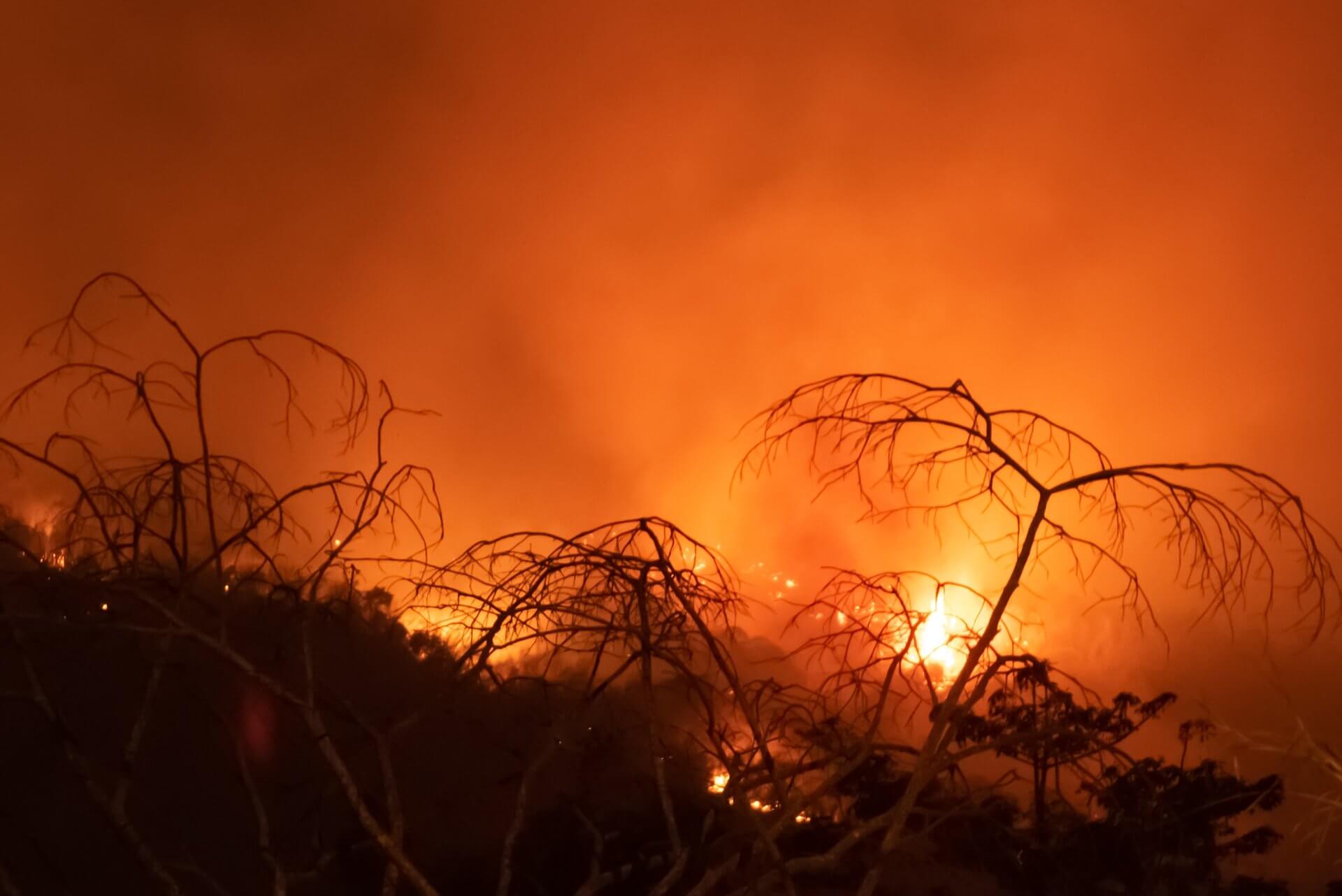 Pożary Amazonia Wrzesień