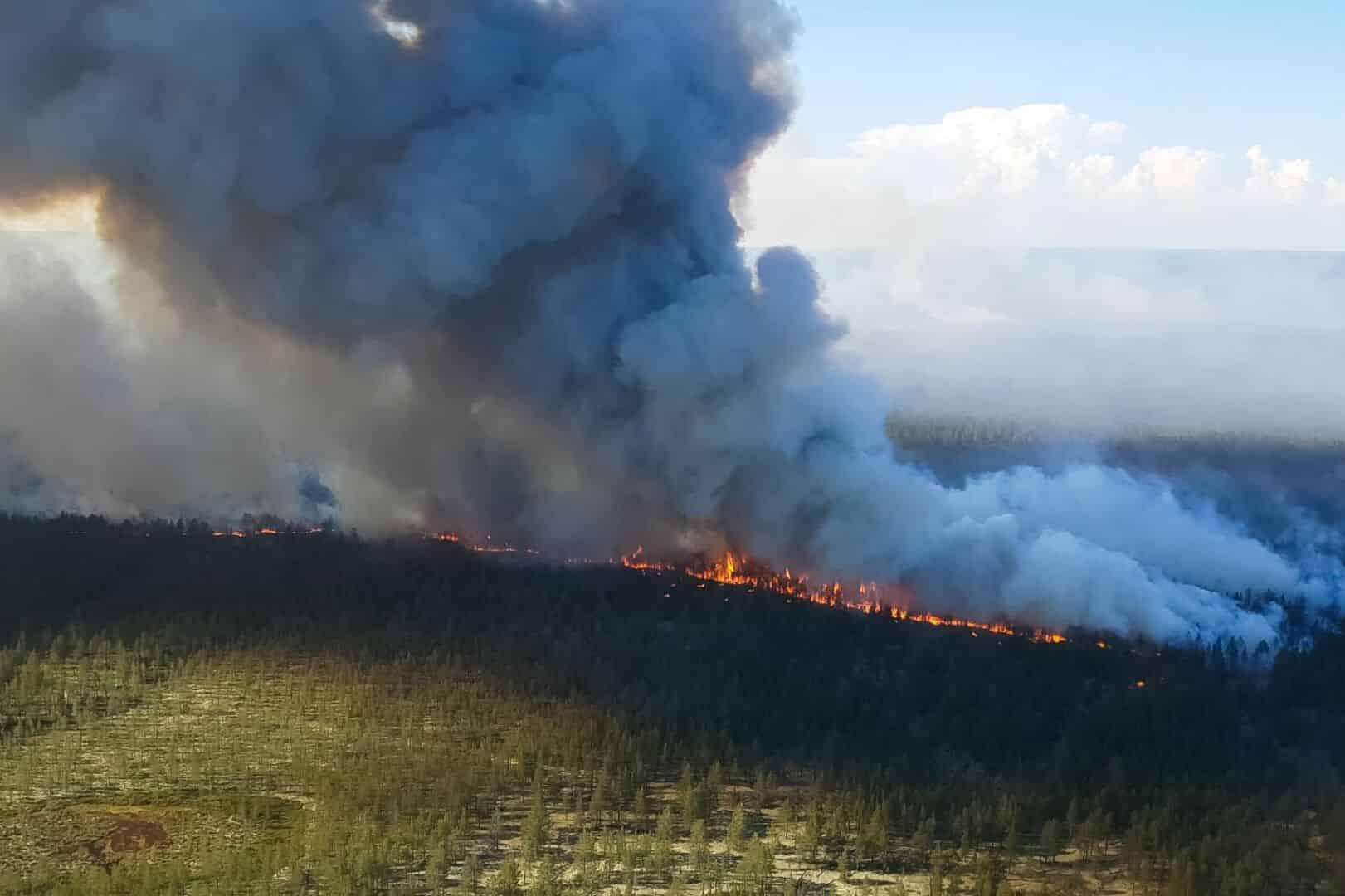 Pożary syberia