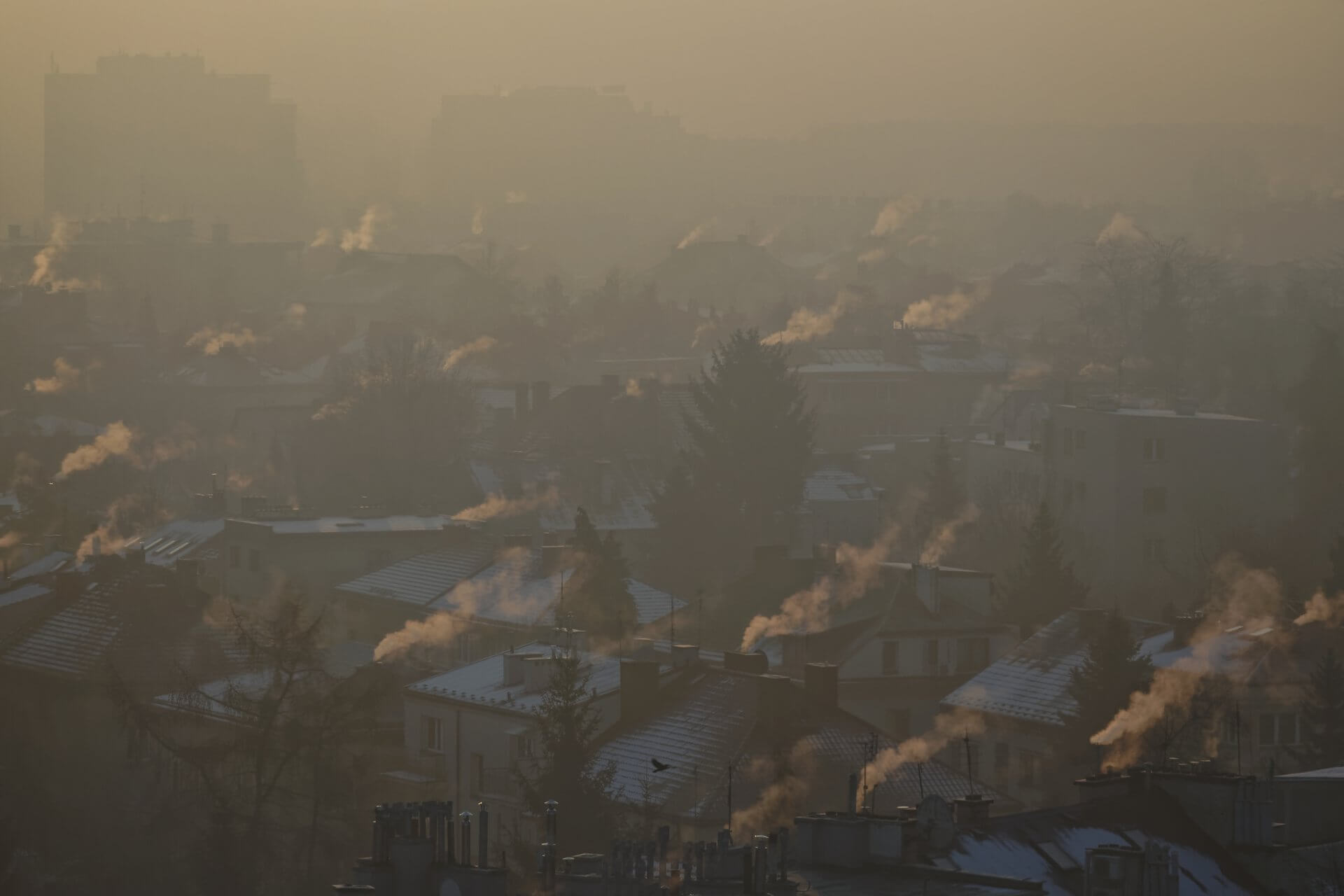 Smog Węgiel Bełchatów