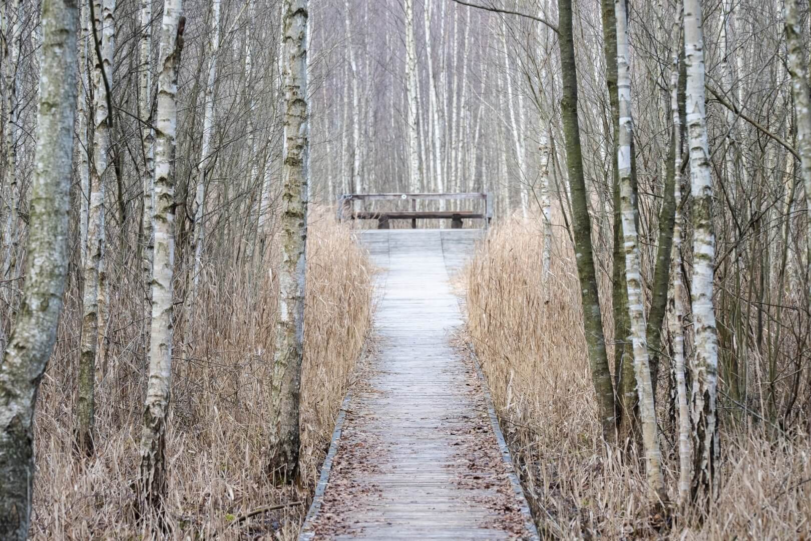 Via Carpatia Biebrzański Park Narodowy Shutterstock