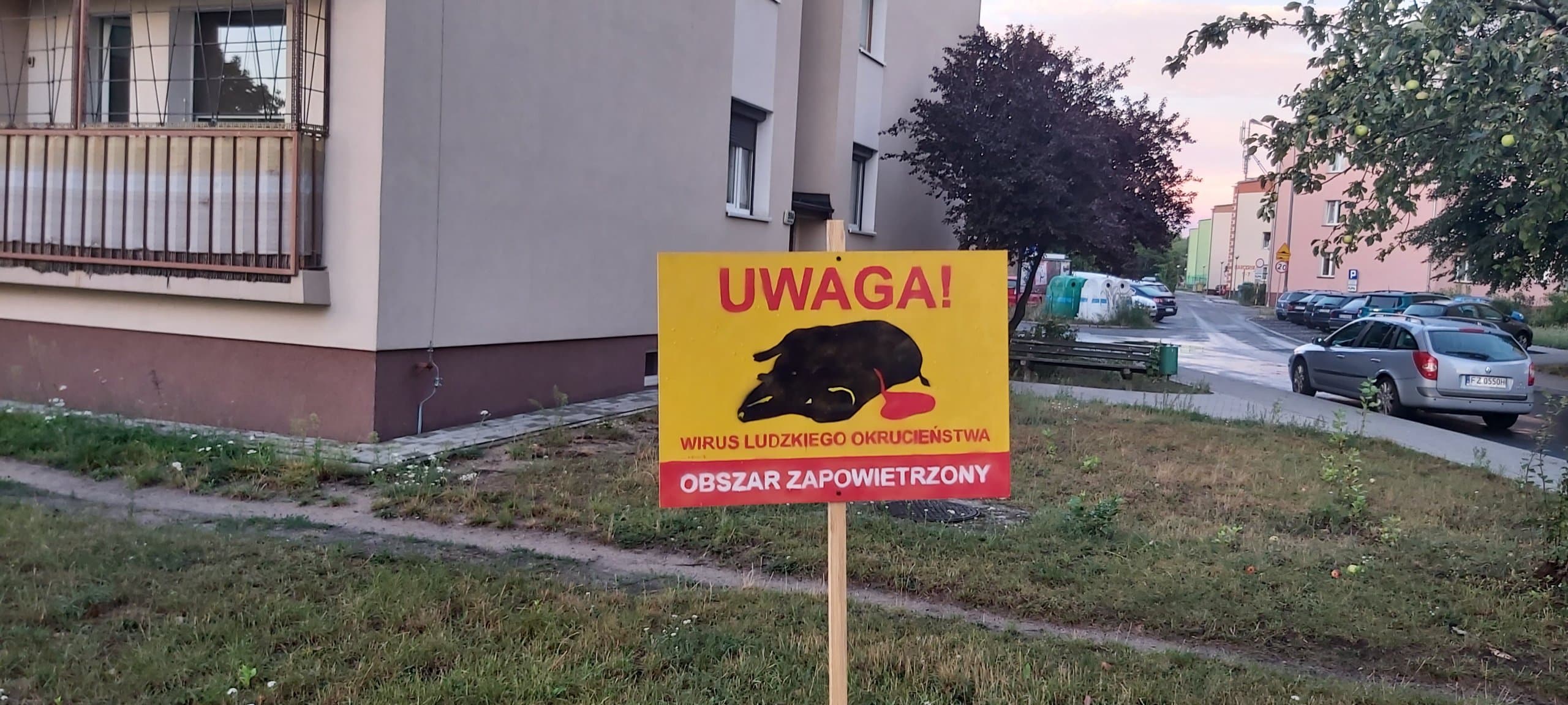 odstrzał dzików|odstrzał dzików protest