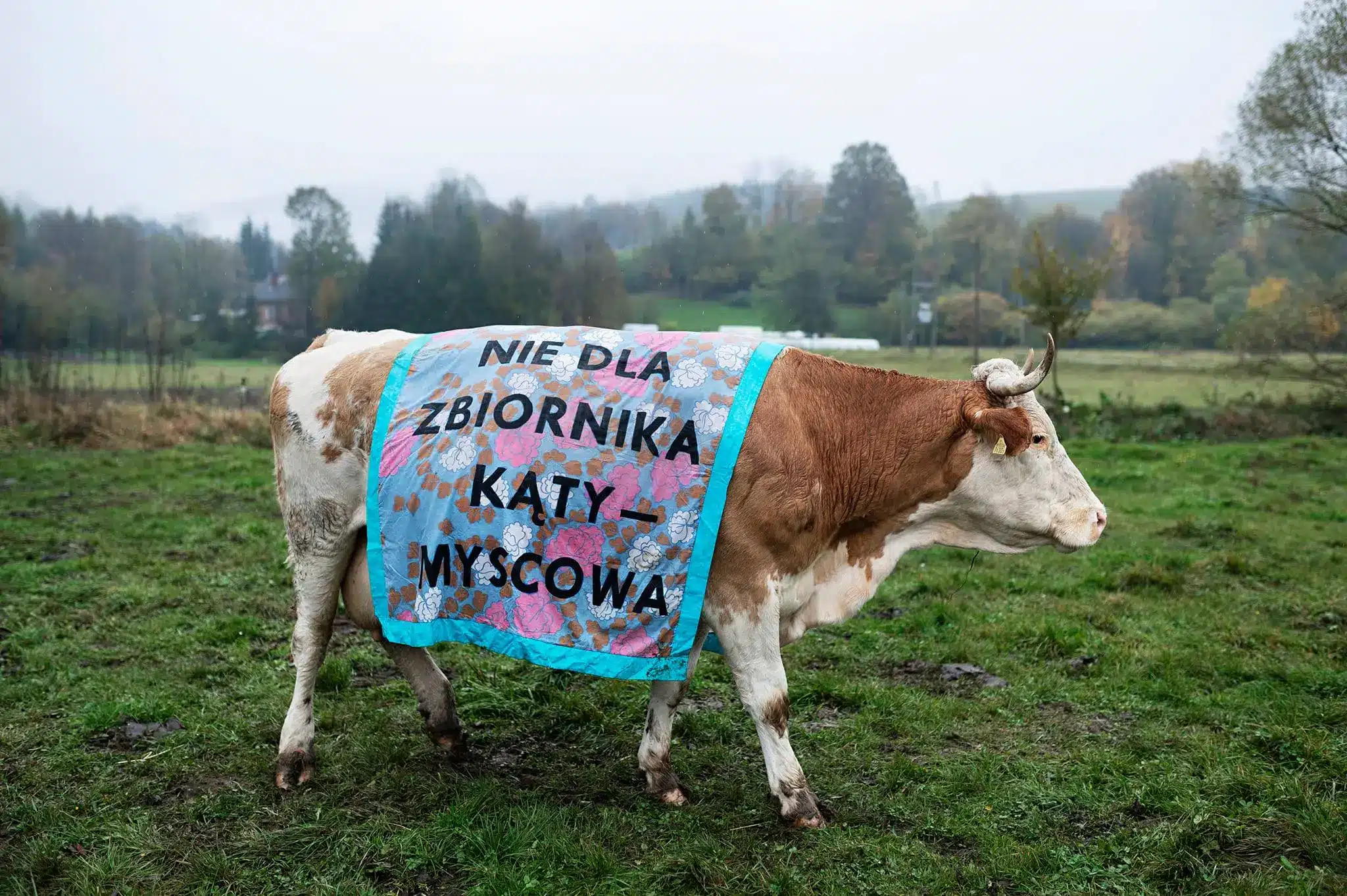 Kąty-Myscowa|