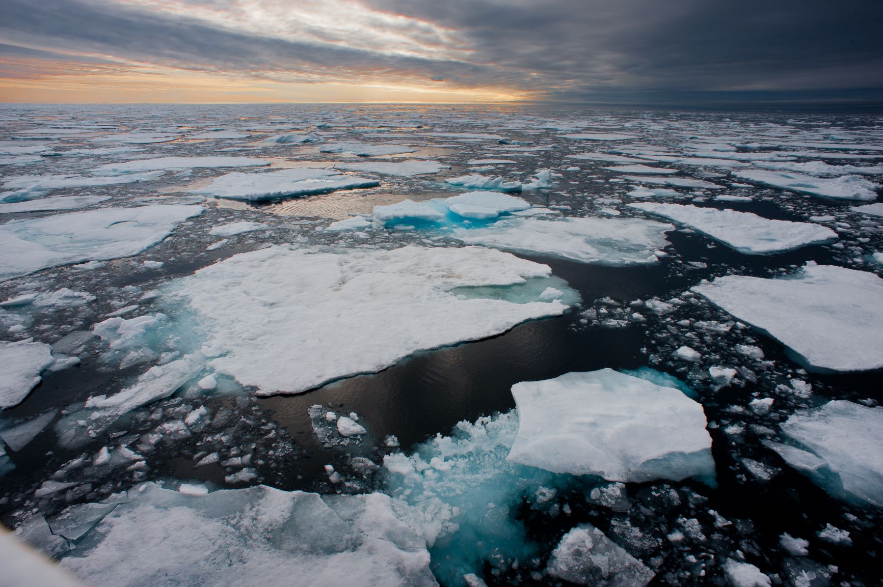 Kra lodowa|Klimatyczna Bzdura Roku