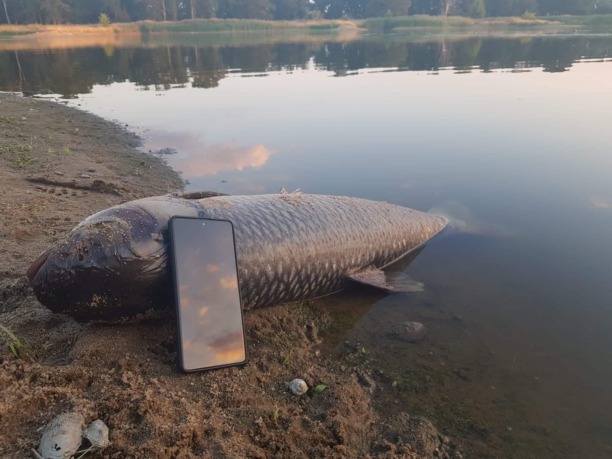 ||||inspekcja ochrony środowiska|