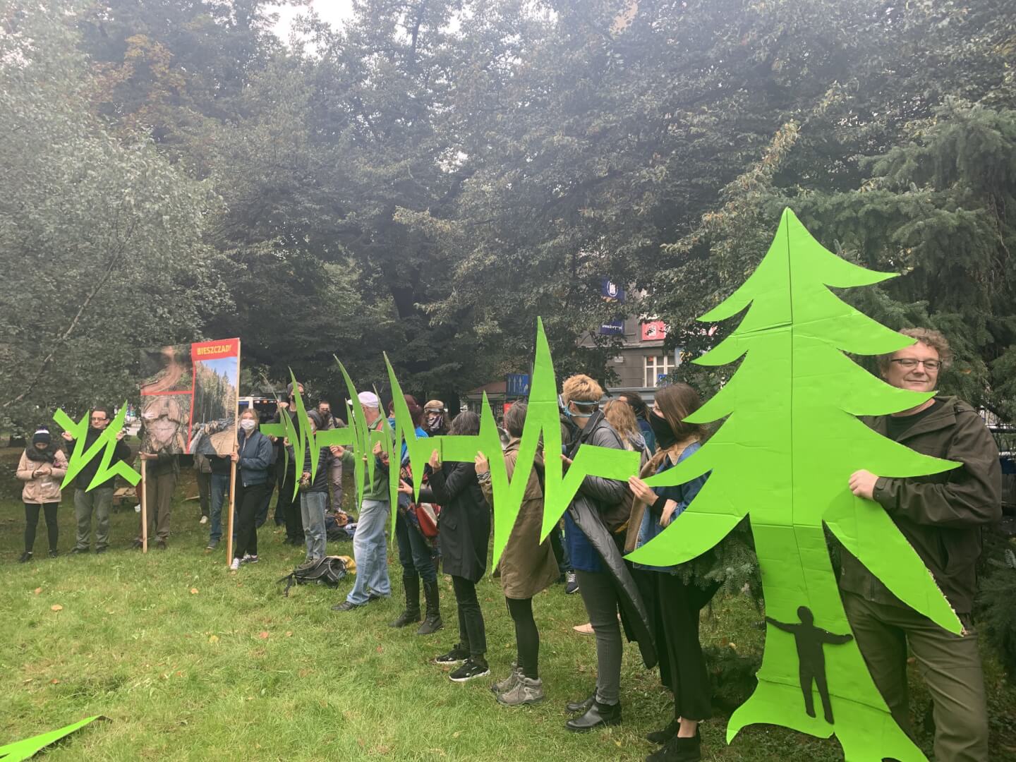 puszcza karpacka protest|wycinka puszcza karpacka|puszcza karpacka protest