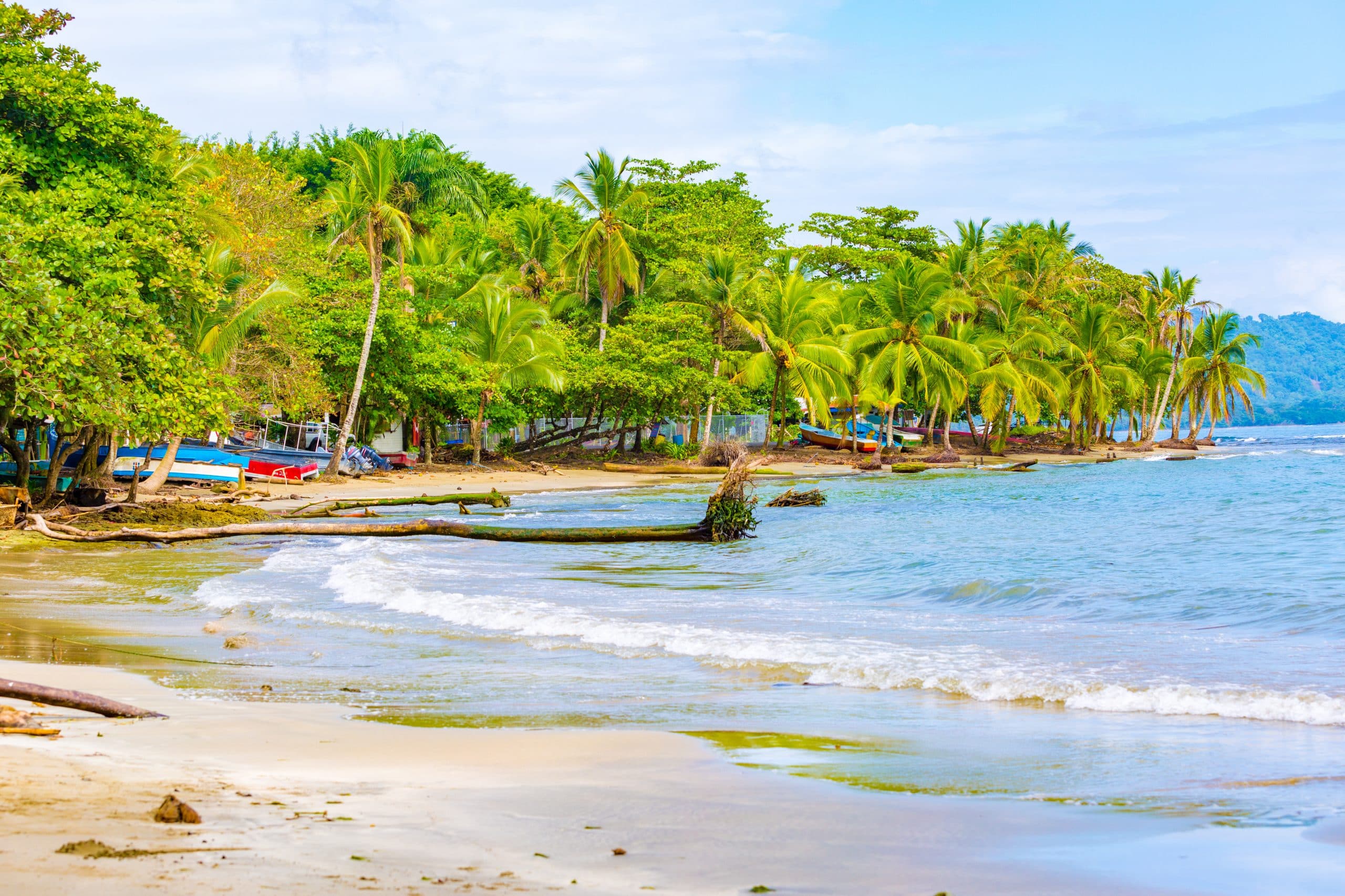 kostaryka plaża|nowy jork greta thunberg|