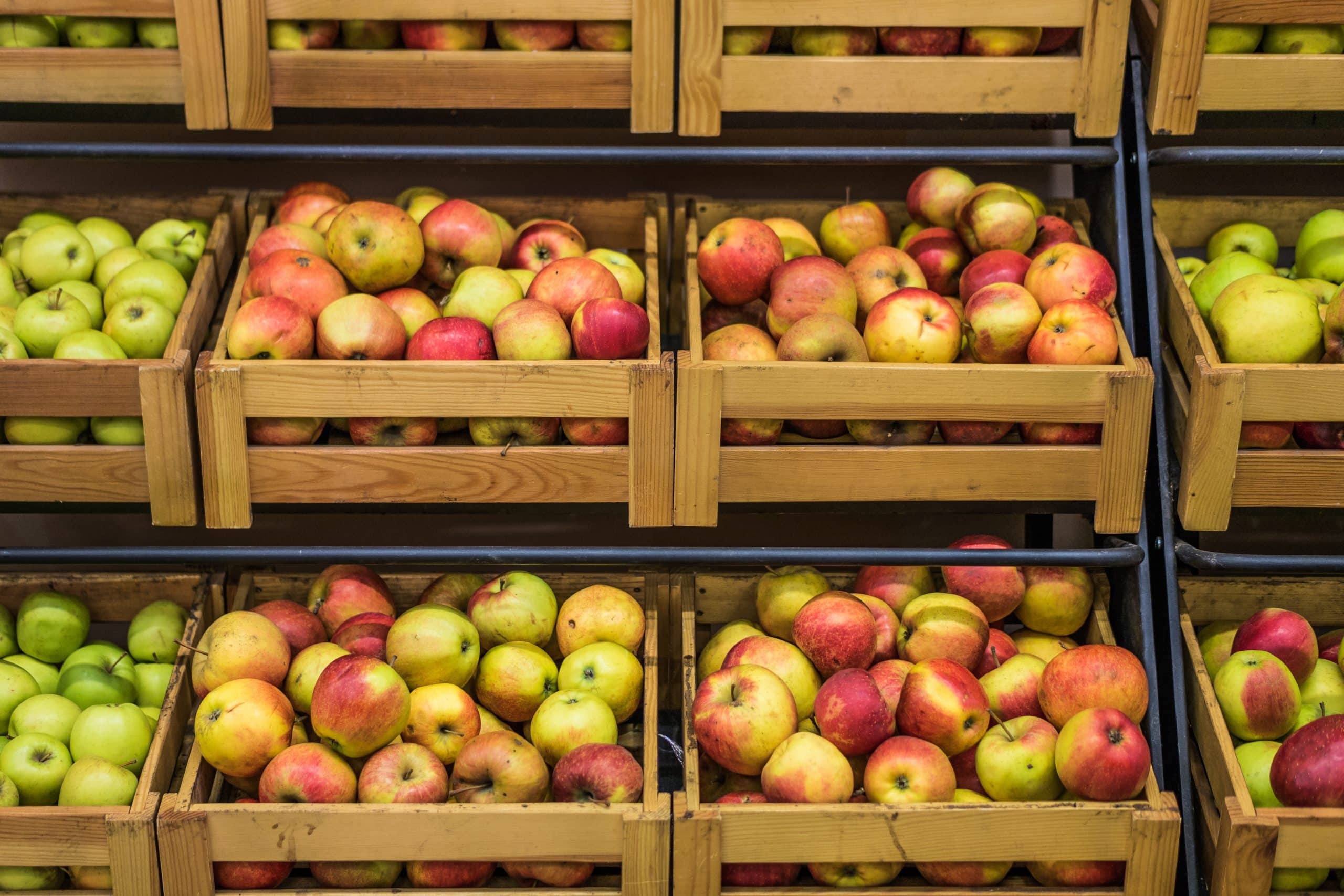 cena jabłek|sad