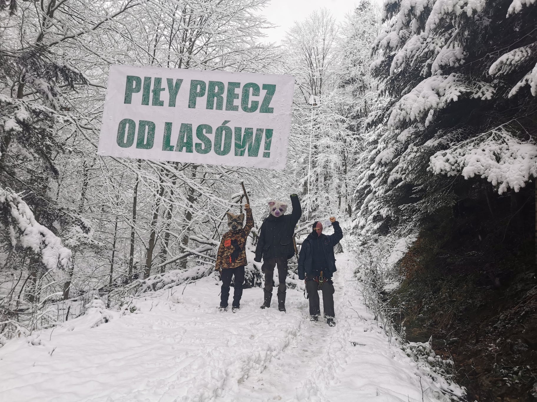 Wilczyce protest|wilczyce