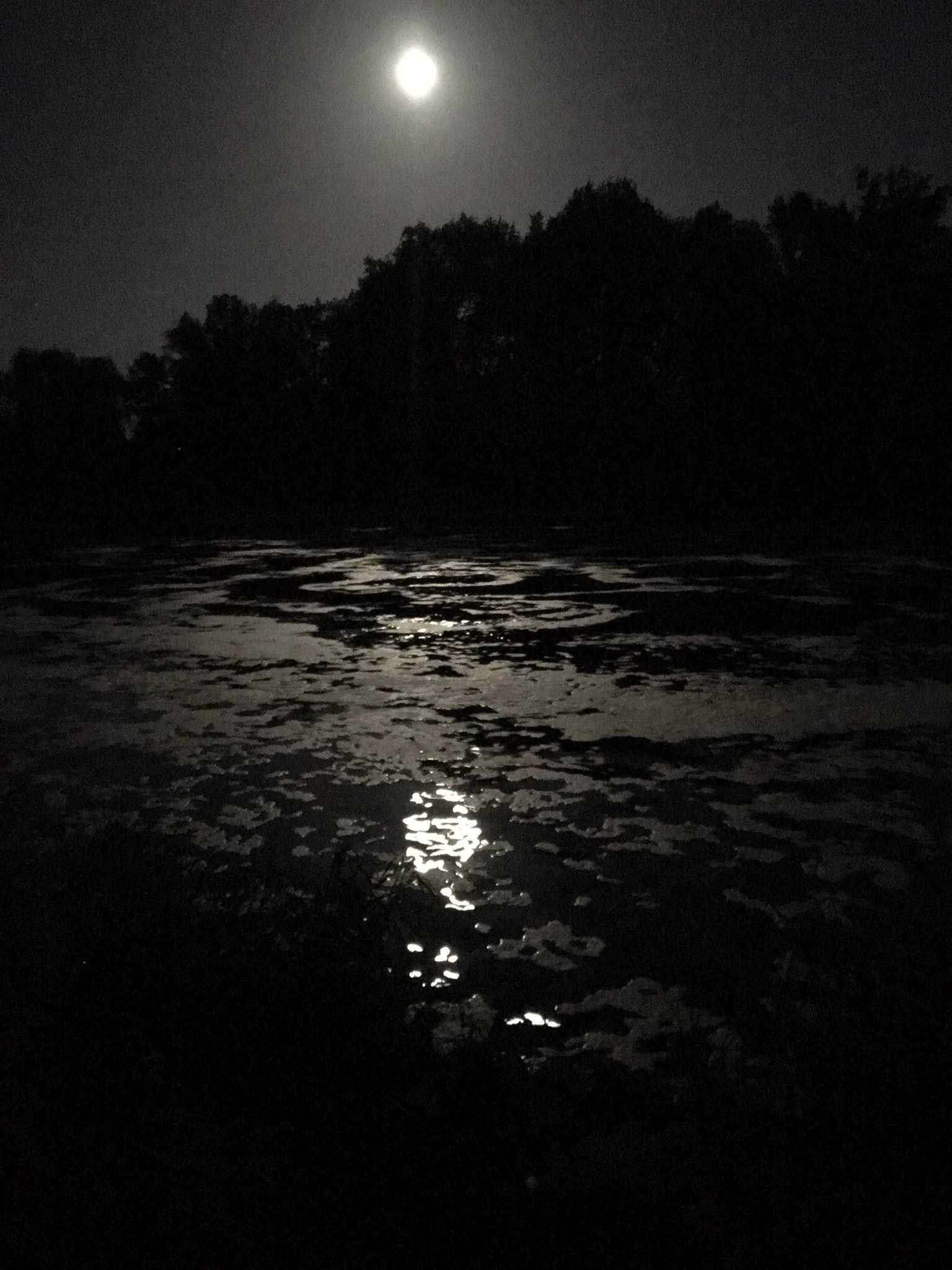 Ścieki znowu w Wiśle. Ekspert punktuje służby odpowiedzialne za rzekę