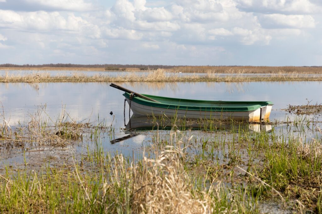 Dla walki z suszą kluczowe są bagna i rozlewiska. Fot. Shutterstock/Marek Godlewski