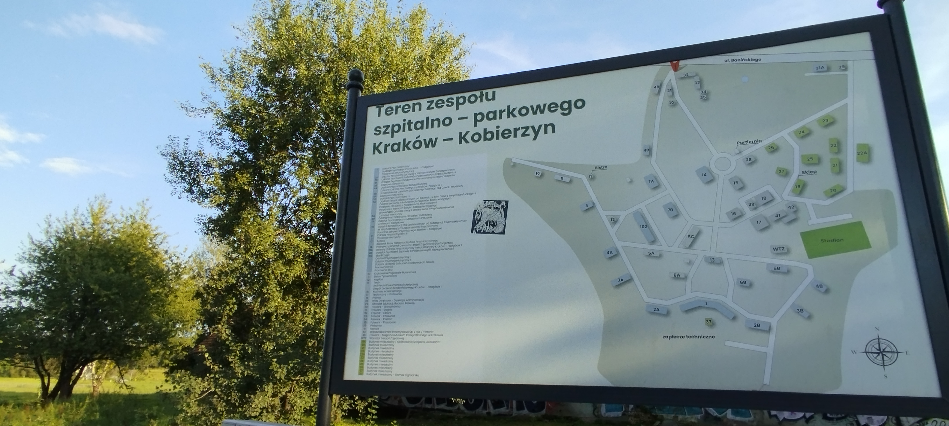 Robią rzeź drzew, żeby zbudować parking. „Najstarsze mają 80 lat”