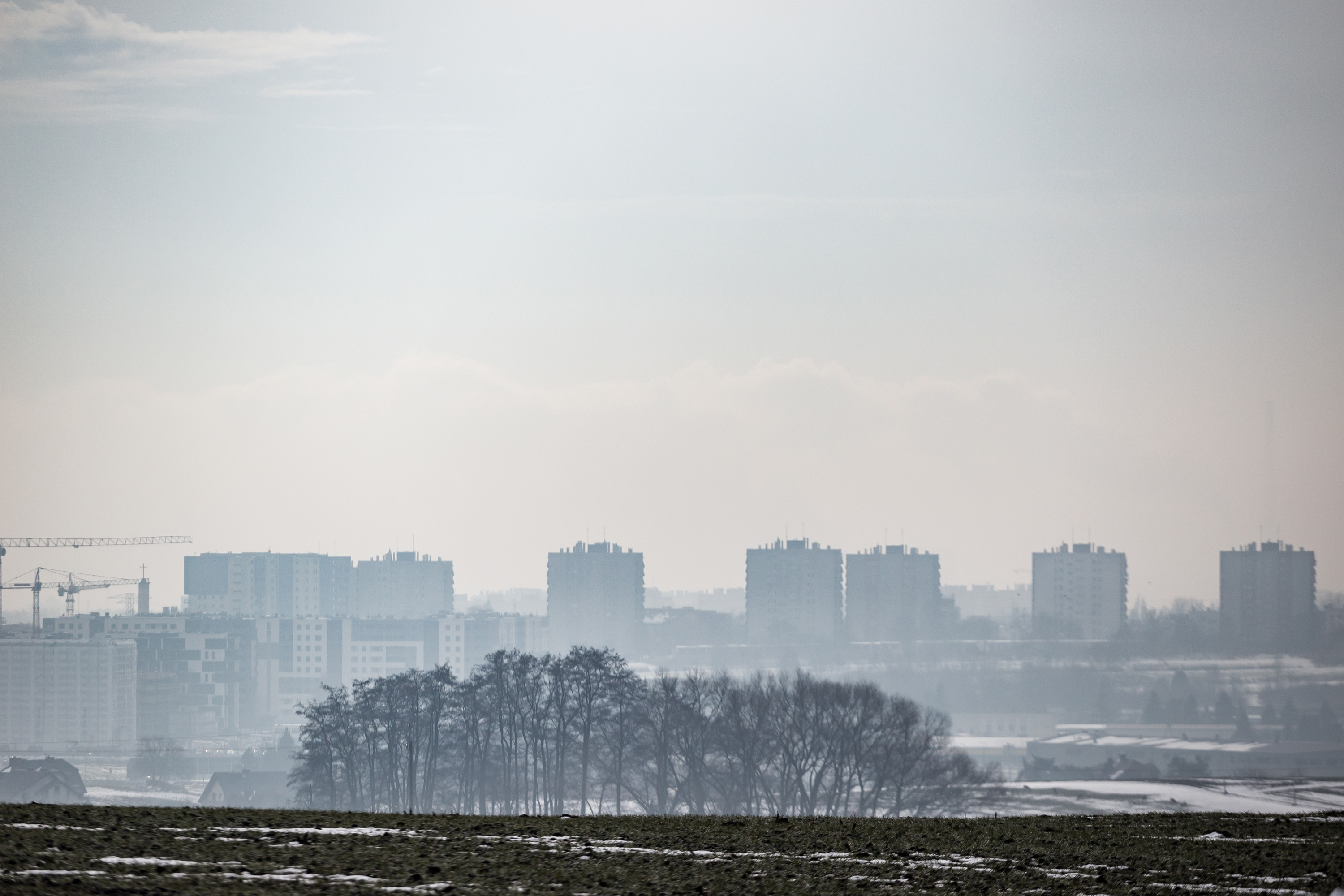 Największe takie badanie w historii. Sprawdzili, co Polacy wiedzą o smogu