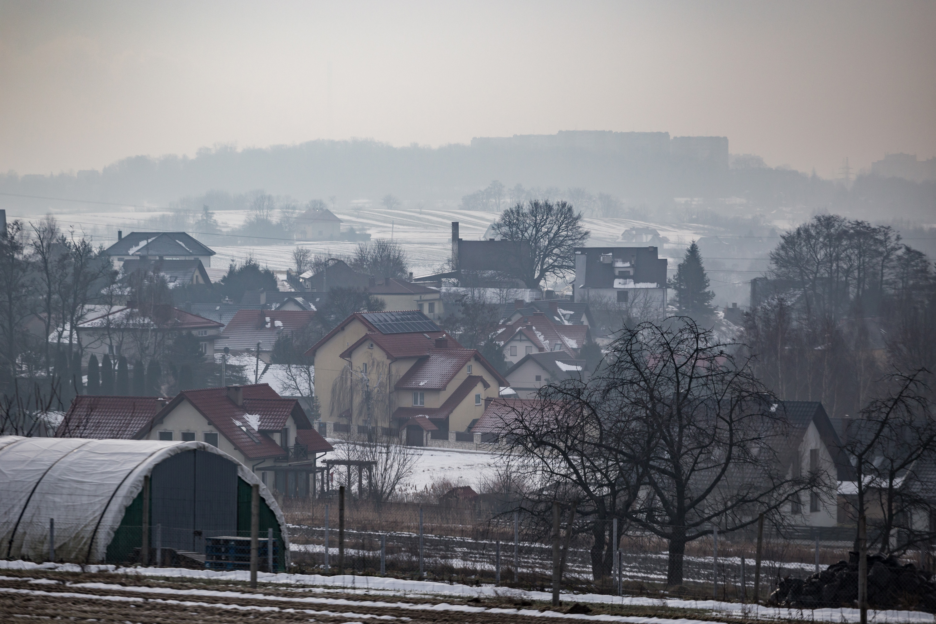 Badanie: Polacy mylą smog z CO2. Chcą go zwalczać zielenią