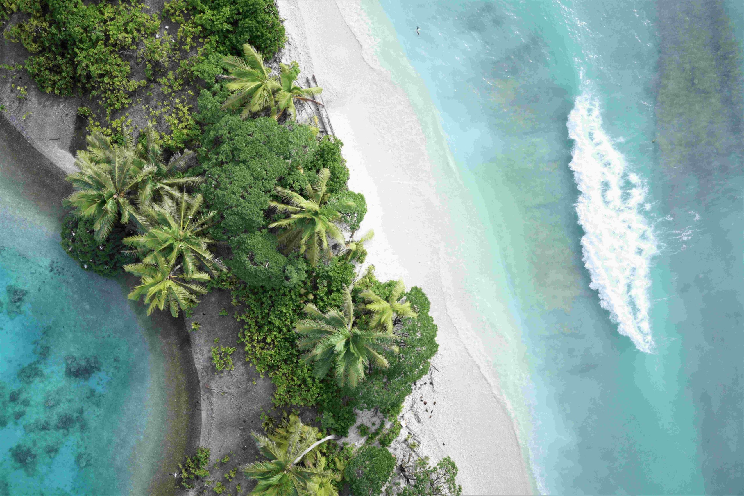 Barren Island at Palmyra Atoll NWR.JPG, The Nature Conservancy/The Nature Conservancy, Copyrighted, All Rights Reserved - Used by Permission, https://www.fws.gov/media/barren-island-palmyra-atoll-nwrjpg