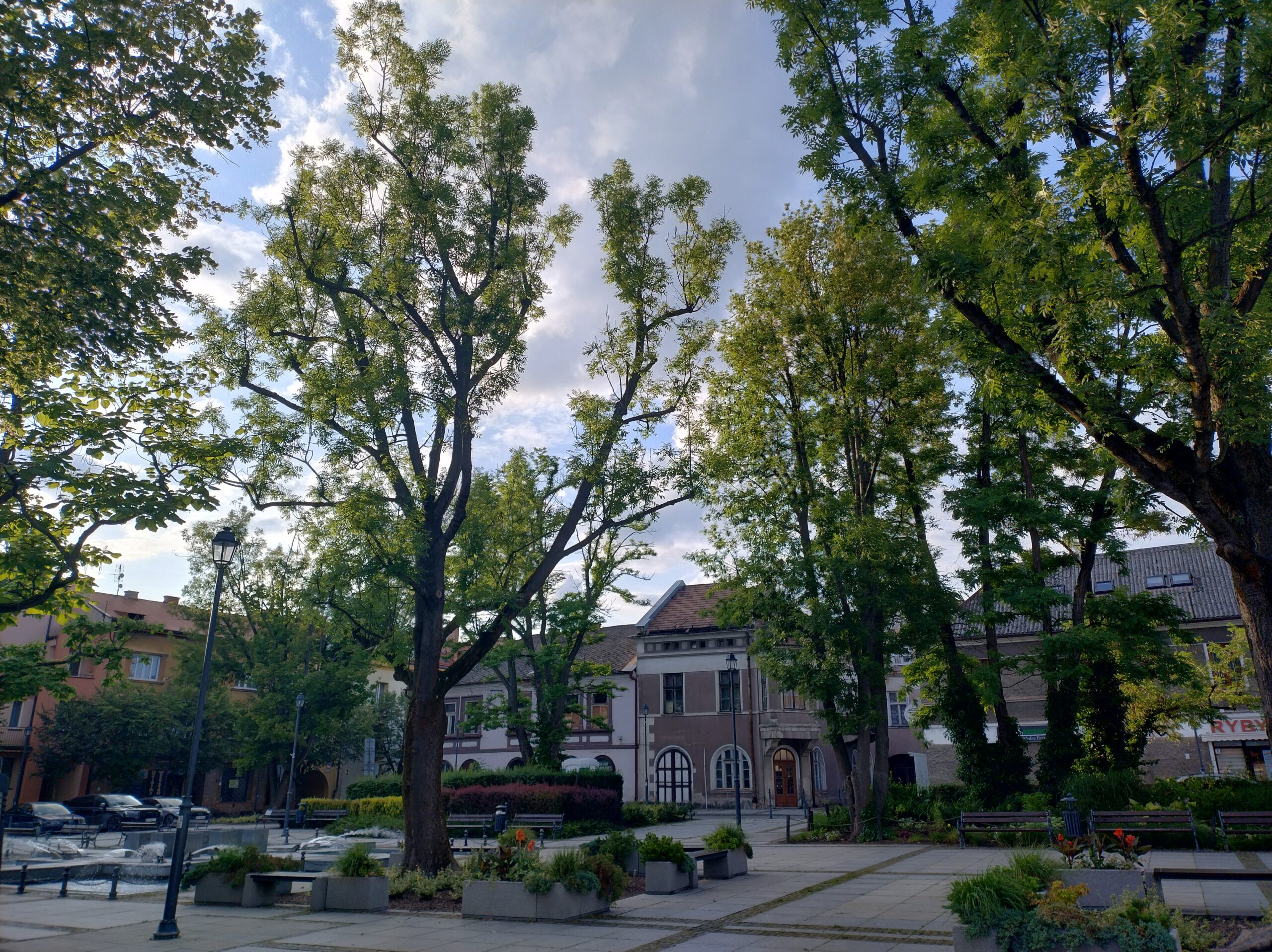 Rynek w Krzeszowicach