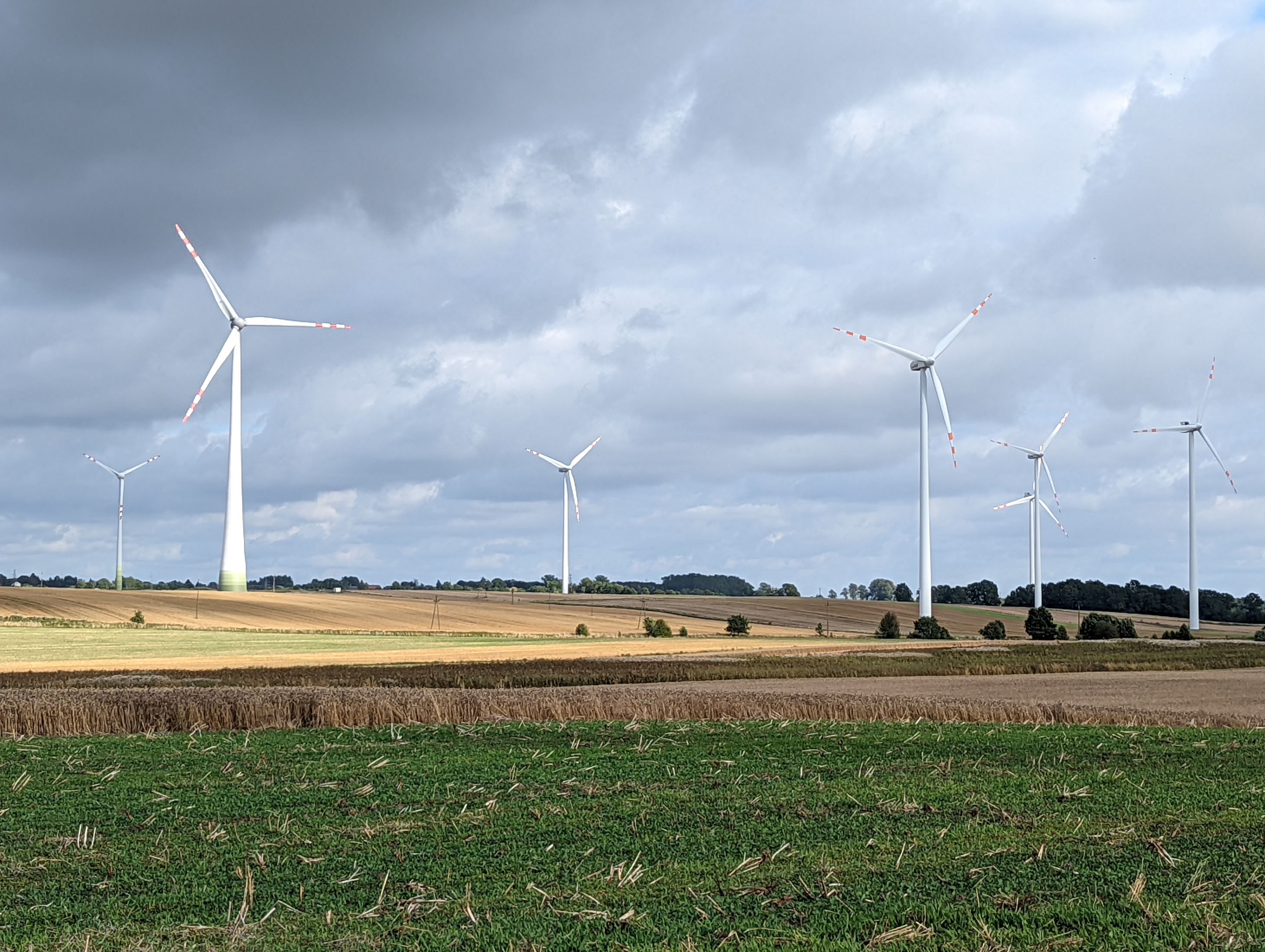 Na wiatrakach najwięcej zarabiają polskie firmy. Z kim walczy Nawrocki?