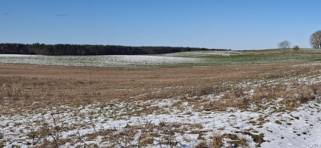 Pierwsze mrozy coraz później. W Polsce to realny problem