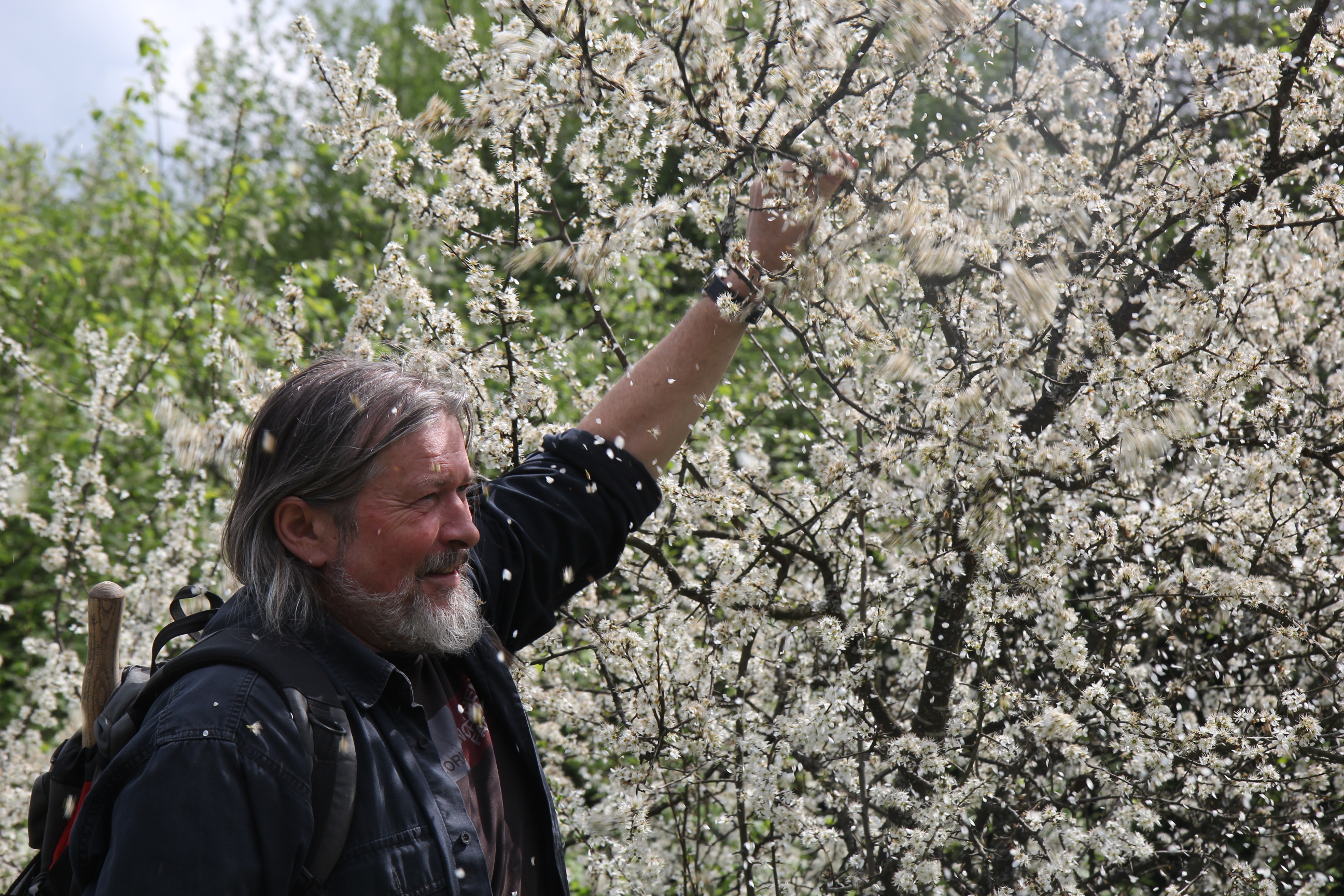 Założyli unikalny ośrodek w Pieninach. „To laboratorium życia”