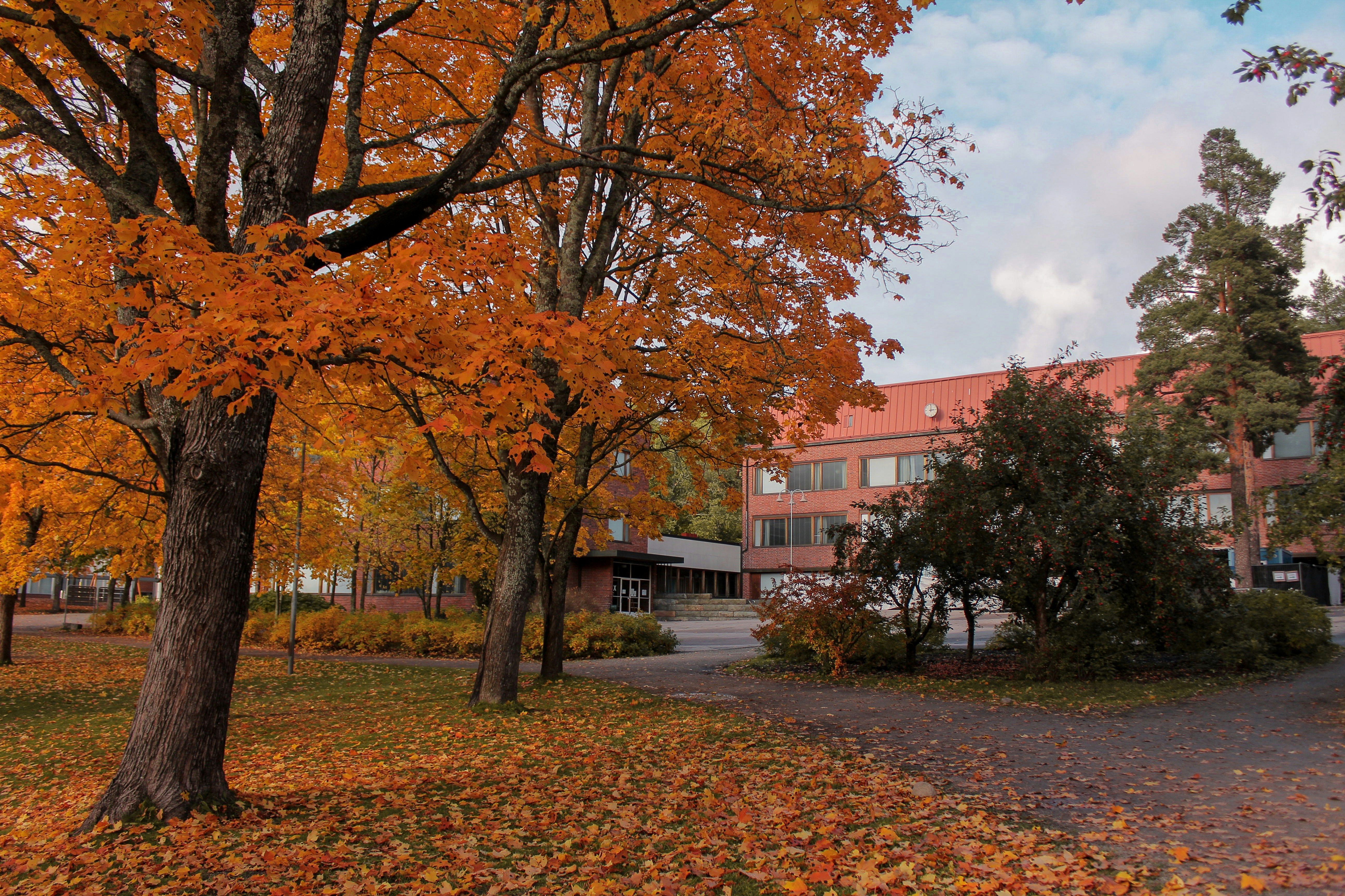 Smog, hałas i duszne sale. Fatalne warunki polskich uczniów