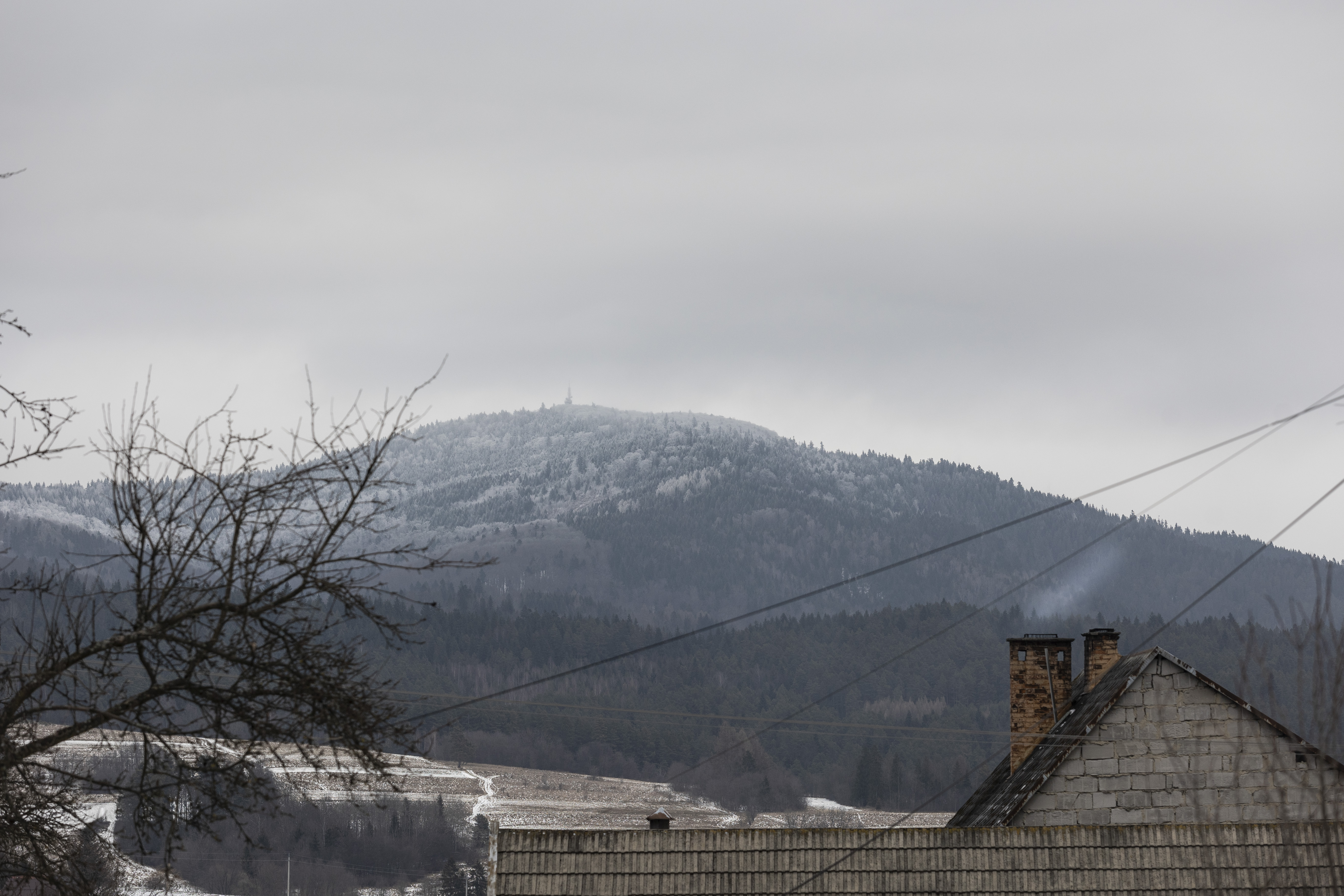 Czym grzać dom w tym roku? Sprawdzili składy opału w każdym województwie