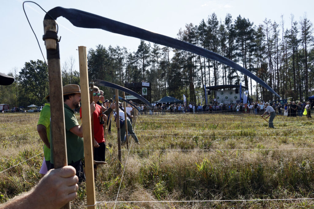 Kosa ratuje łąki i tradycję. Po 500 latach wracamy do sianokosów