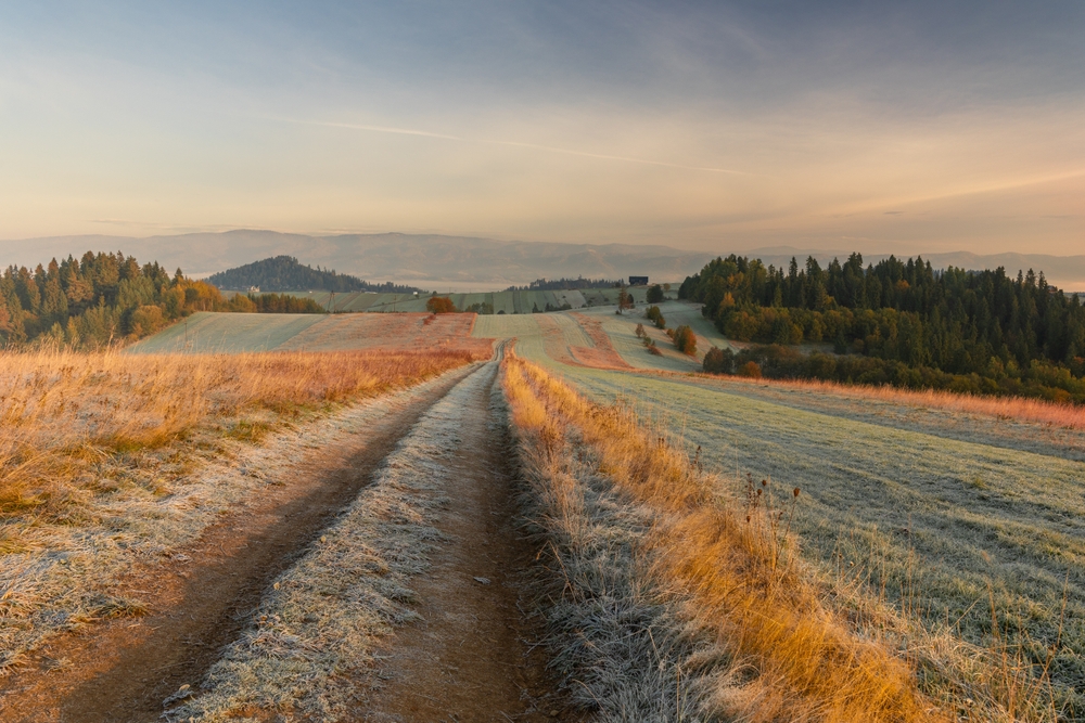 Naukowcy alarmują: tracimy więź z naturą. Sprawdzili dane od 1800 r.