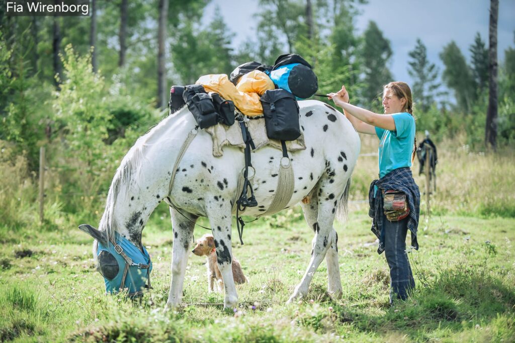 „Wolność, której wszyscy szukamy”. Nie city break, a jazda konna
