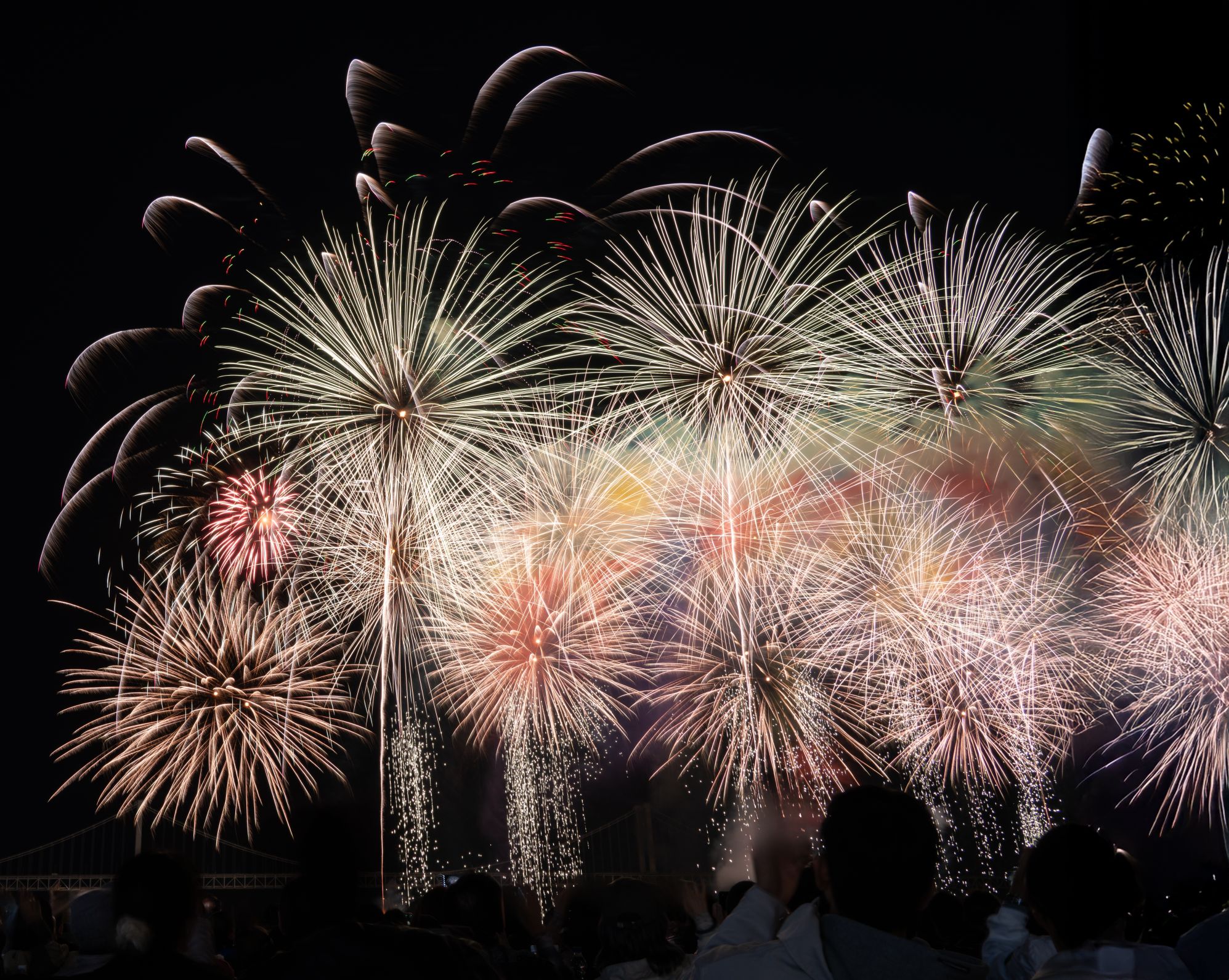 Huk, panika i szok w środku zimy. Zwierzęta w starciu z Sylwestrem